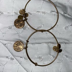 Alex and Ani set of 2 bracelets